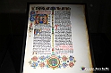 VBS_4033 - Mostra Il Rinascimento in Piemonte - Castello della Rovere - Vinovo 
